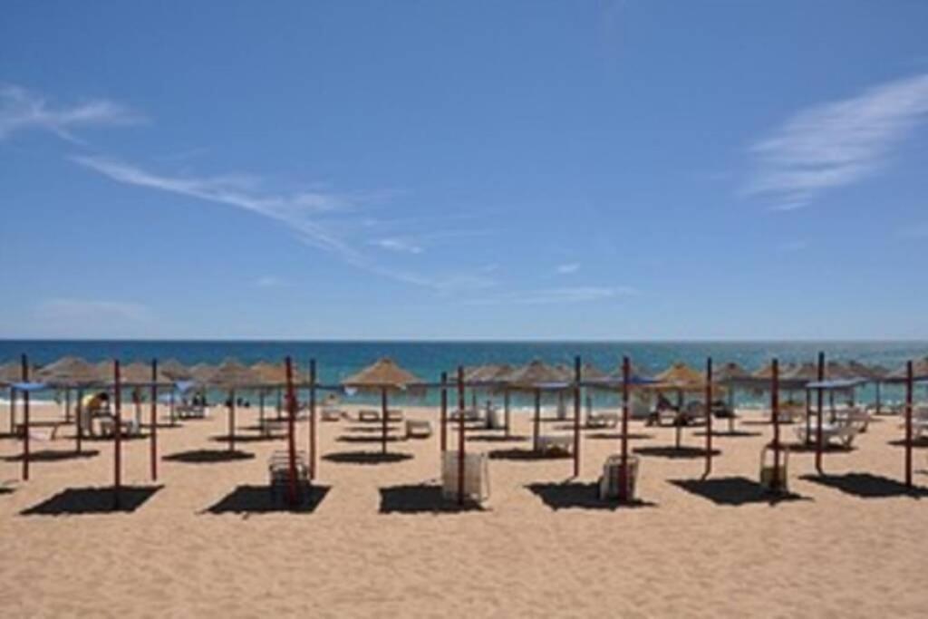 Apartamento Millenium Vista Mar- 2 Passos Da Praia クアルテイラ エクステリア 写真